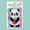 DIY craft kit